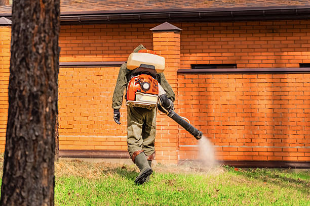 Trusted Ant Control service in Punta Gorda, FL - Nex Pest Control